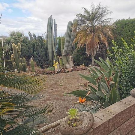 Los Cactus ซานตาครูซ เด เตเนริเฟ ภายนอก รูปภาพ