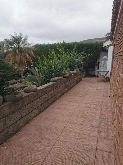 Los Cactus ซานตาครูซ เด เตเนริเฟ ภายนอก รูปภาพ