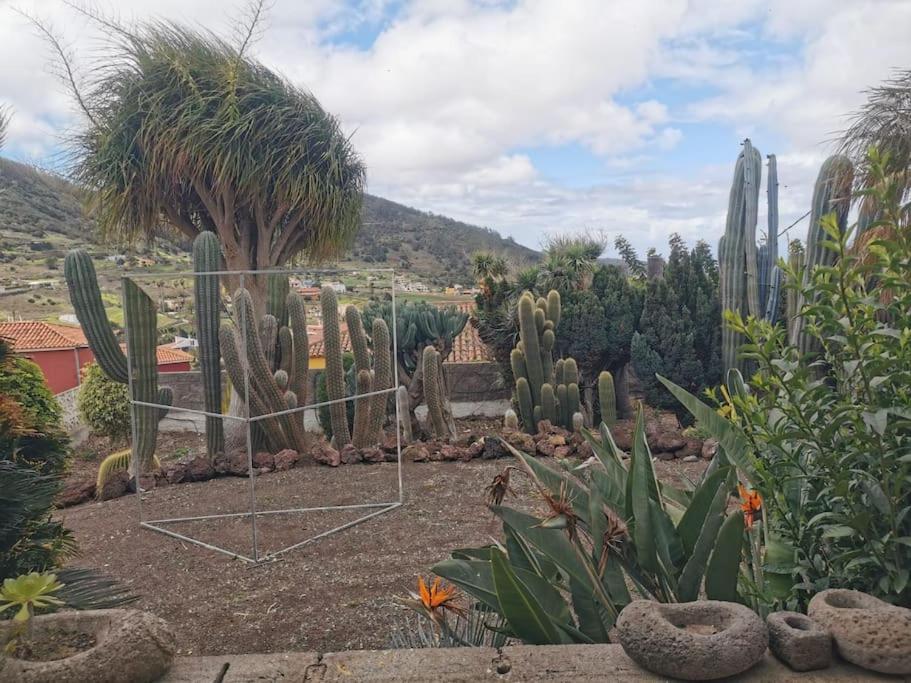 Los Cactus ซานตาครูซ เด เตเนริเฟ ภายนอก รูปภาพ